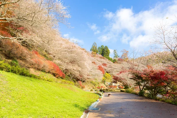 Obara Sakura en otoño — Foto de Stock