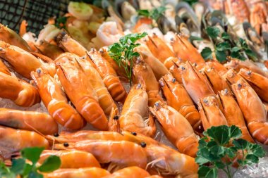 Taze pişmiş karides