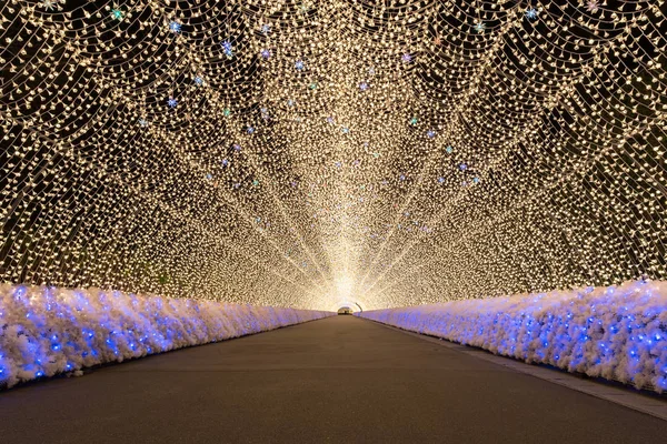 Nabana no Sato garden — Stok Foto