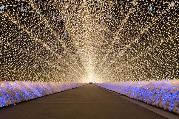 Nabana no Sato garden — Stock Photo, Image