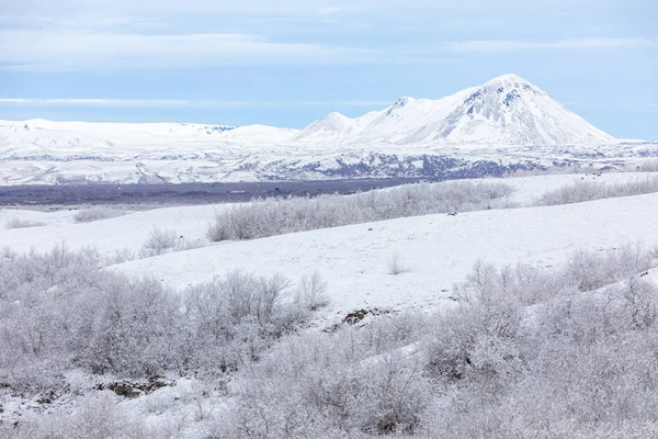 Krajobraz z pokrytymi śniegiem drzewami — Zdjęcie stockowe