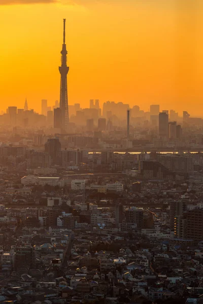 Tokyo città al tramonto — Foto Stock