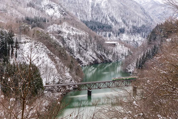 Winterlandschap van lake en trein — Stockfoto