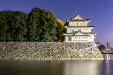 Geceleri Nagoya Kalesi