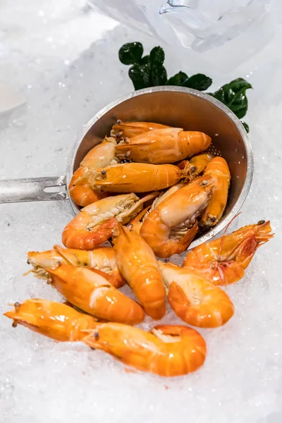 Tiger Prawn on ice — Stock Photo, Image