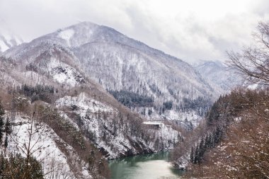 Karla Kaplanmış Ağaçlar