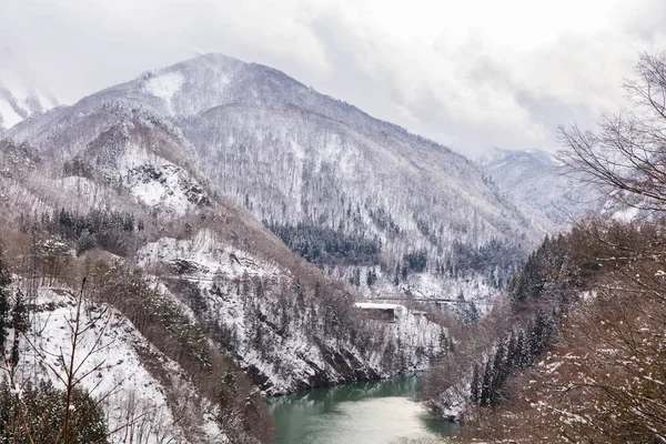 Karla Kaplanmış Ağaçlar