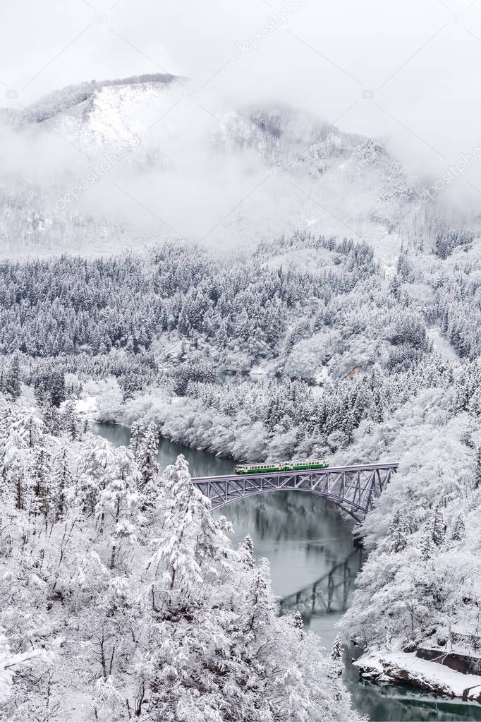 snow covered trees