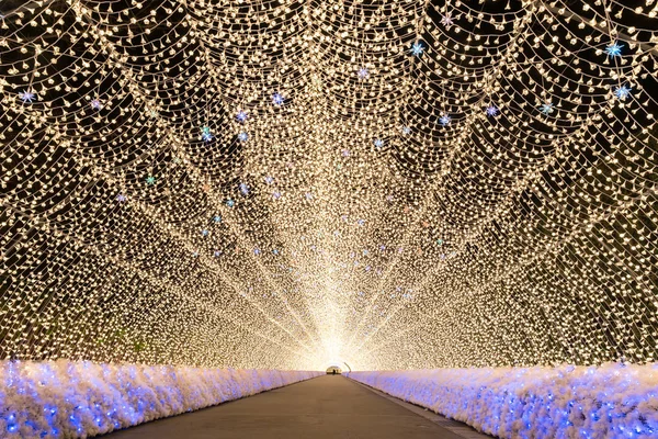 Giardino di Nabana Sato — Foto Stock