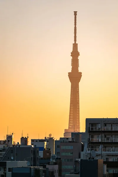 Tokyo Skytree mit Skyline — Stockfoto