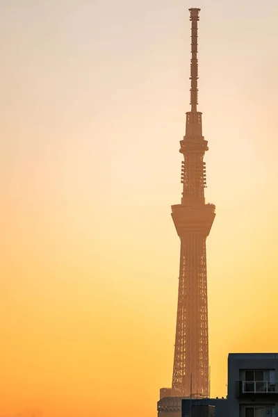 Tokyo Skytree in sunrise — Stock Photo, Image