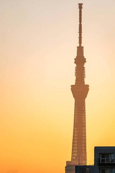Tokyo Skytree in sunrise 