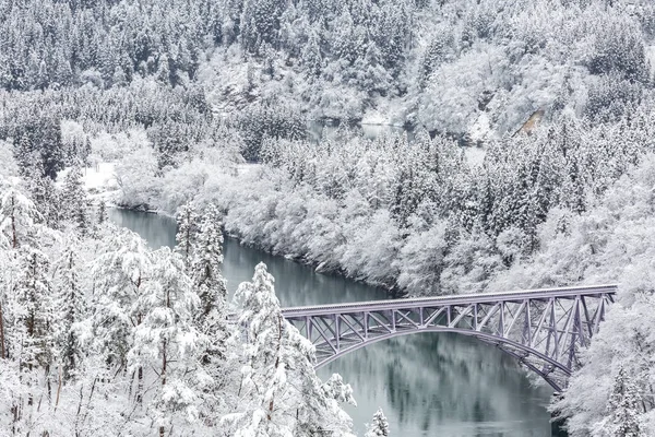 Ponte nel paesaggio invernale — Foto Stock