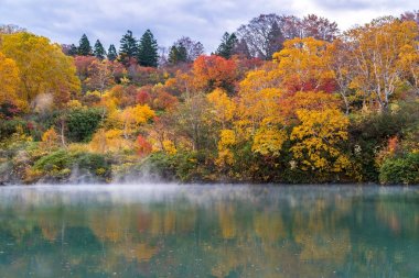 Jigoku Numa Hakkoda Aomori Tohoku, Japonya'nın gölde onsen ormanıyla sonbahar