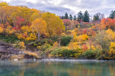 Jigoku Numa Hakkoda Aomori Tohoku, Japonya'nın gölde onsen ormanıyla sonbahar