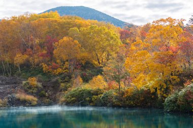 Autumn Forest with onsen lake at Jigoku Numa of Hakkoda Aomori Tohoku, Japan clipart