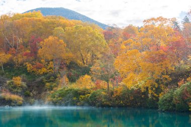 Jigoku Numa Hakkoda Aomori Tohoku, Japonya'nın gölde onsen ormanıyla sonbahar