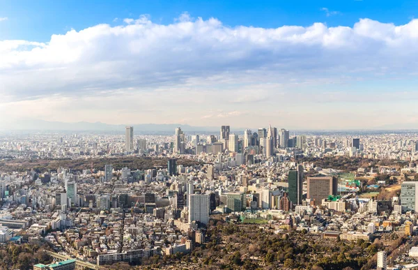 Panorama Města Tokyo Shinjuku Oblasti — Stock fotografie