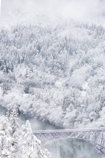 Vinterlandskap Med Snö Bron — Stockfoto