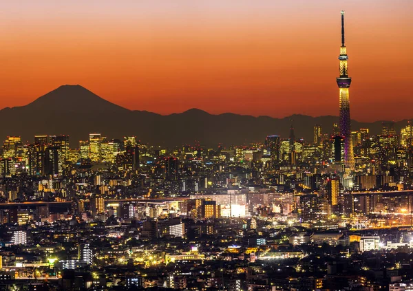 Tokyo Město Letecký Pohled Hory Fuji — Stock fotografie