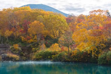 Sonbahar orman onsen gölde Jigoku Numa, Hakkoda Aomori Tohoku, Japonya ile
