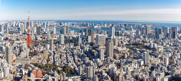 Tokyo Tower Med Skyline Tokyo Japan — Stockfoto