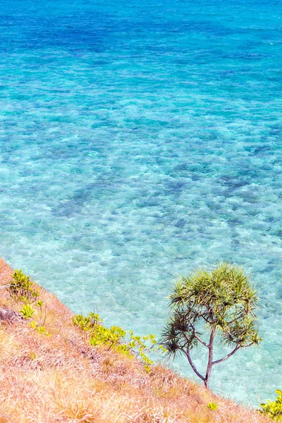 Vista Superior Superfície Transparente Água Mar Azul Turquesa Oceano Rocha — Fotografia de Stock