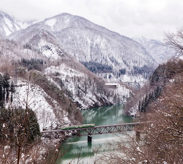 Trein Winter Landschap Van Sneeuw Brug — Stockfoto