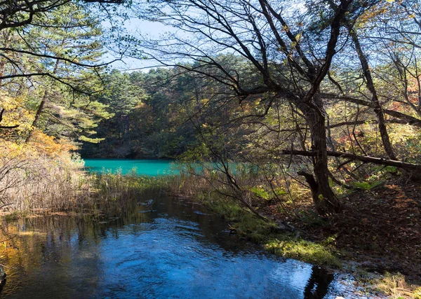 Goshiki Numa Five Colour Pond Autumn Urabandai Fukushima Japan — Stock Photo, Image