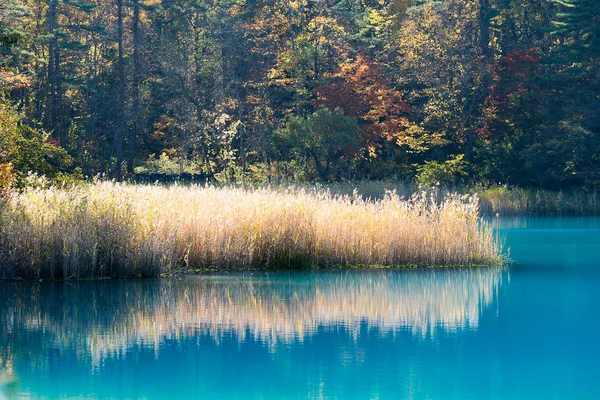 Goshiki Numa Five Colour Pond Autumn Urabandai Fukushima Japan — Stock Photo, Image