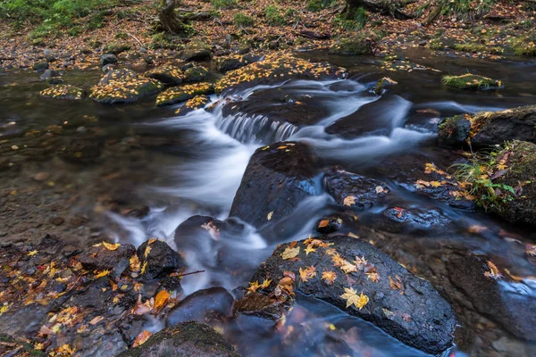 Tatsuzawafudo Wasserfall Herbst Fukushima — Stockfoto