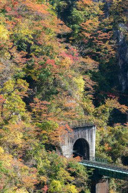 Tüneli Miyagi Tohoku, Japonya değil Gorge Vadisi 