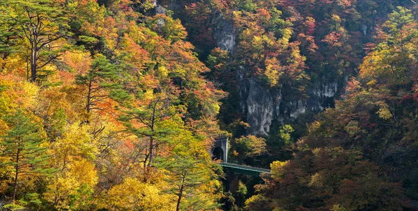 Valle Naruko Gorge Con Tunnel Ferroviario Miyagi Tohoku Giappone — Foto Stock