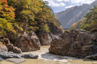 Nikko Tochigi, Japan Ryuyo Gorge Kanyon Milli Park ve rekreasyon alanı 