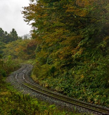 Fukushima, Japan, sonbahar ormandaki boş tren yolu
