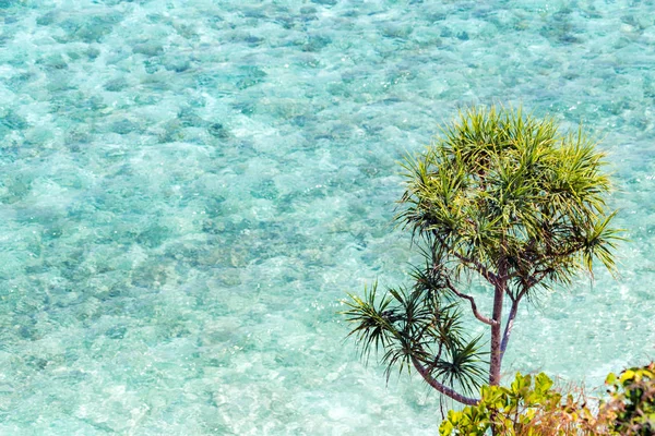 Vista Superior Superfície Transparente Água Mar Azul Turquesa Mar Rocha — Fotografia de Stock