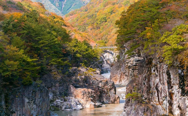 Ryuyo Gorge Canyon Parco Nazionale Area Ricreativa Nikko Tochigi — Foto Stock