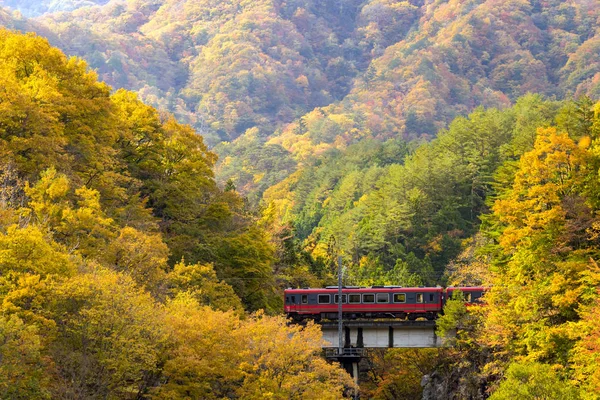 Feuillage Automnal Avec Banlieue Train Rouge Fukushima Japon — Photo