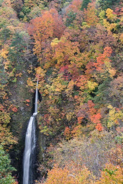 Водопад Цумидзикура Таки Осенью Фукусиме Япония — стоковое фото