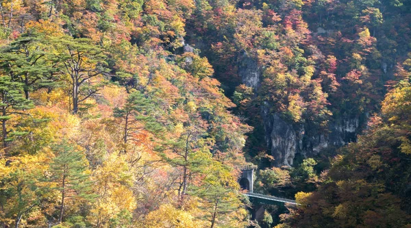 Narugo Gorge Vallei Met Spoorwegtunnel Miyagi Tohoku Japan — Stockfoto