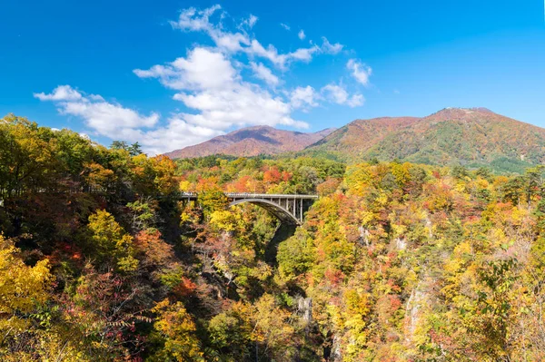 Tüneli Miyagi Tohoku Japonya Değil Gorge Vadisi — Stok fotoğraf