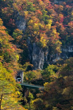 Tren demiryolu tüneli Miyagi Tohoku, Japonya değil Gorge Vadisi
