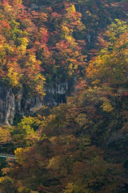 Tren demiryolu tüneli Miyagi Tohoku, Japonya değil Gorge Vadisi
