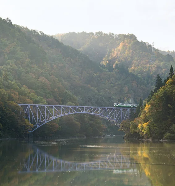 Sonbahar Sonbahar Yaprakları Fukushima Ilk Köprü View Point Daiichi Kyouryou — Stok fotoğraf