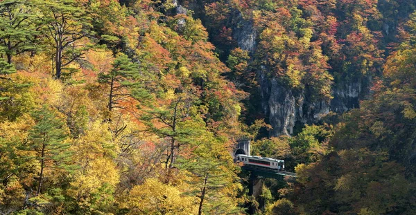 日本宫城县东北鸣子峡谷与火车铁路隧道 — 图库照片