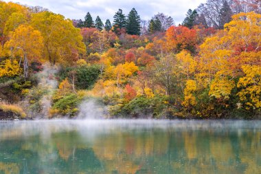 Sonbahar orman onsen gölde Jigoku Numa, Hakkoda Aomori Tohoku, Japonya ile