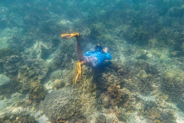 Mergulhador Snorkeling Fazer Mergulho Livre Recife Tropical Com Fundo Azul — Fotografia de Stock