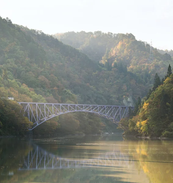 Hösten Bladverk Fukushima Första Bridge View Point Daiichi Kyouryou Mishima — Stockfoto