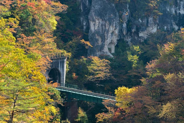 Valle Naruko Gorge Con Túnel Ferroviario Miyagi Tohoku Japón — Foto de Stock