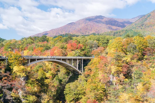 Miyagi Tohoku Japonya Sında Demiryolu Tüneli Olan Naruko Gorge Vadisi — Stok fotoğraf